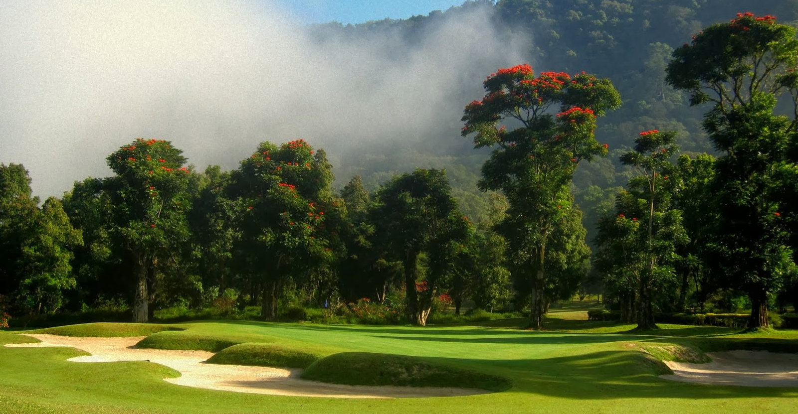 Lush tropical golf fairway with mountain mist and flowering trees